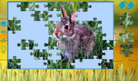 Puzzles for adults the nature Screen Shot 4