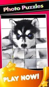 Puppies Pictures-Puppy Dogs Puzzle Game Screen Shot 0