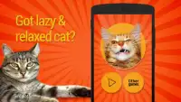 Cat Teaser: Sounds Screen Shot 0
