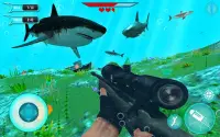 Angry Shark Sniper 3D Screen Shot 3