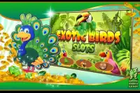 Exotic Birds Slots Screen Shot 4