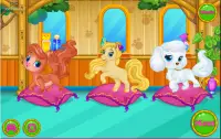Pet Beauty Salon - Dress up games Screen Shot 1