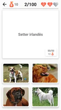Cachorros - Quiz sobre todas as raças populares Screen Shot 3