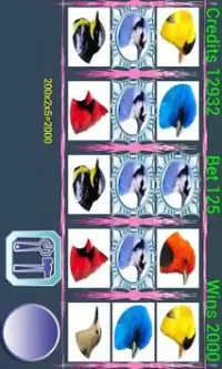 A8 Birds Slot Machine Screen Shot 3