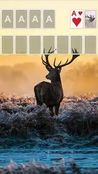 Solitaire Theme🦄 Screen Shot 1