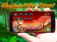 Monkey games : banana kong Screen Shot 0