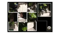 Puzzle Kitty Pets Screen Shot 2