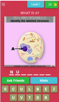 Anatomy Online Quiz: Cell and  Screen Shot 0