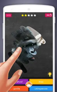 Scratch Game: Animals Quiz Screen Shot 3