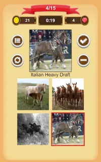Horse Quiz Screen Shot 9