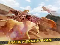 Macan Tutul melawan Singa Screen Shot 4