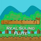 Real Suling - Suling Mini Dangdut