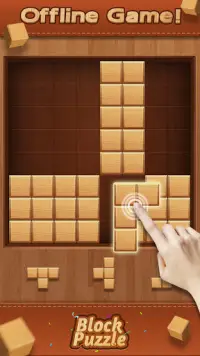 Wood Block Puzzle 2020 : Free Challenge Screen Shot 1