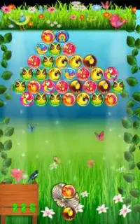 Birds Bubble Shooter Screen Shot 4