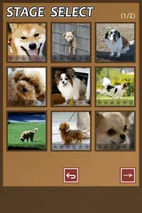 Swapping Dog Puzzle Screen Shot 5
