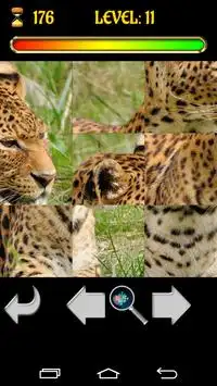 Big Cats Puzzles – Free Jigsaw Screen Shot 1