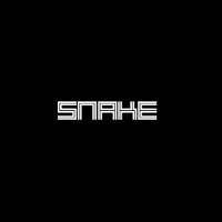 Retro Snake