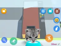 Cat Simulator Online Screen Shot 8