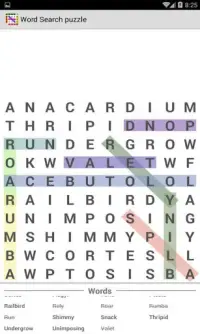 Word Search Puzzle : Search in Word Screen Shot 3