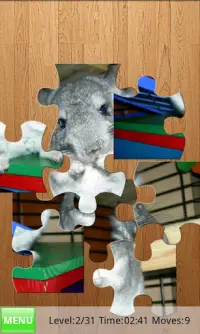 Chinchillas Jigsaw Puzzles Screen Shot 2