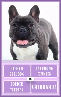Dog Breeds Game: Ultimate Dog Breed Knowledge Test Screen Shot 22