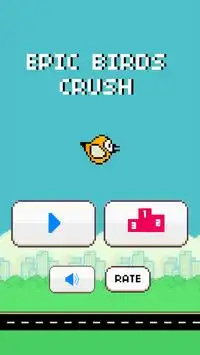 Epic Birds Crush Screen Shot 4