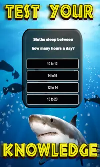 Animals Quiz - Wild Creatures Educational Trivia Screen Shot 1