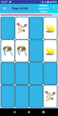 Picture Match - Memory Game Screen Shot 3