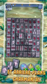 Mahjong: Puces Magiques Screen Shot 3