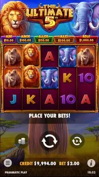 The Ultimate 5 - Slot Casino Screen Shot 3