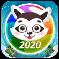 Bubble Raccoon 2020