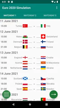 EURO 2020 Simulation Screen Shot 0