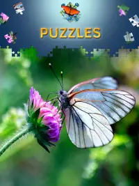 Butterfly Jigsaw Puzzles free Screen Shot 0