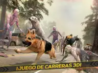Mi Perro vs Zombies Simulador Screen Shot 3