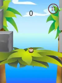 Coconut Bounce - Amazing Jump Screen Shot 5