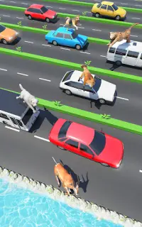 Animal Pets Traffic Highway Cross Screen Shot 8