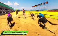 Horse Racing - Derby Quest Race Horse Riding Games Screen Shot 14