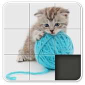 Aah! Cats Sliding Block Puzzle