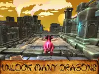 Dragon Run 3D Screen Shot 2
