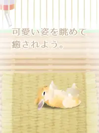 癒しのウサギ育成ゲーム Screen Shot 8