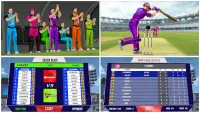 Giải vô địch Cricket Aussies Screen Shot 4