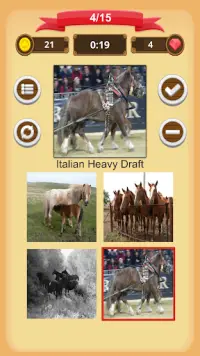 Horse Quiz Screen Shot 3