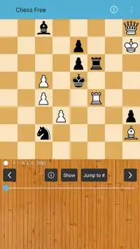 шахматы бесплатно Screen Shot 0