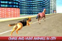 Wild Street Dog Attack: Mad Dogs Fighting Screen Shot 0