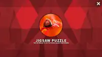 Ladybug HD Jigsaw Puzzle Free Screen Shot 0