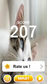 Cat Alan Walker Piano Tiles Screen Shot 4