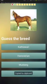 Horse Challenge Screen Shot 11