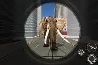 Sniper Animal Hunting Challenge 2019 Screen Shot 3