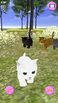 Cat Island Screen Shot 1