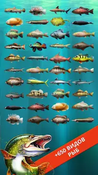 Let's Fish: Симулятор рыбалки Screen Shot 2